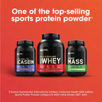 Optimum Nutrition Serious Mass, Weight Gainer Protein Powder, Mass Gainer, Vanilla Flavor, 6 Pound (Packaging May Vary)